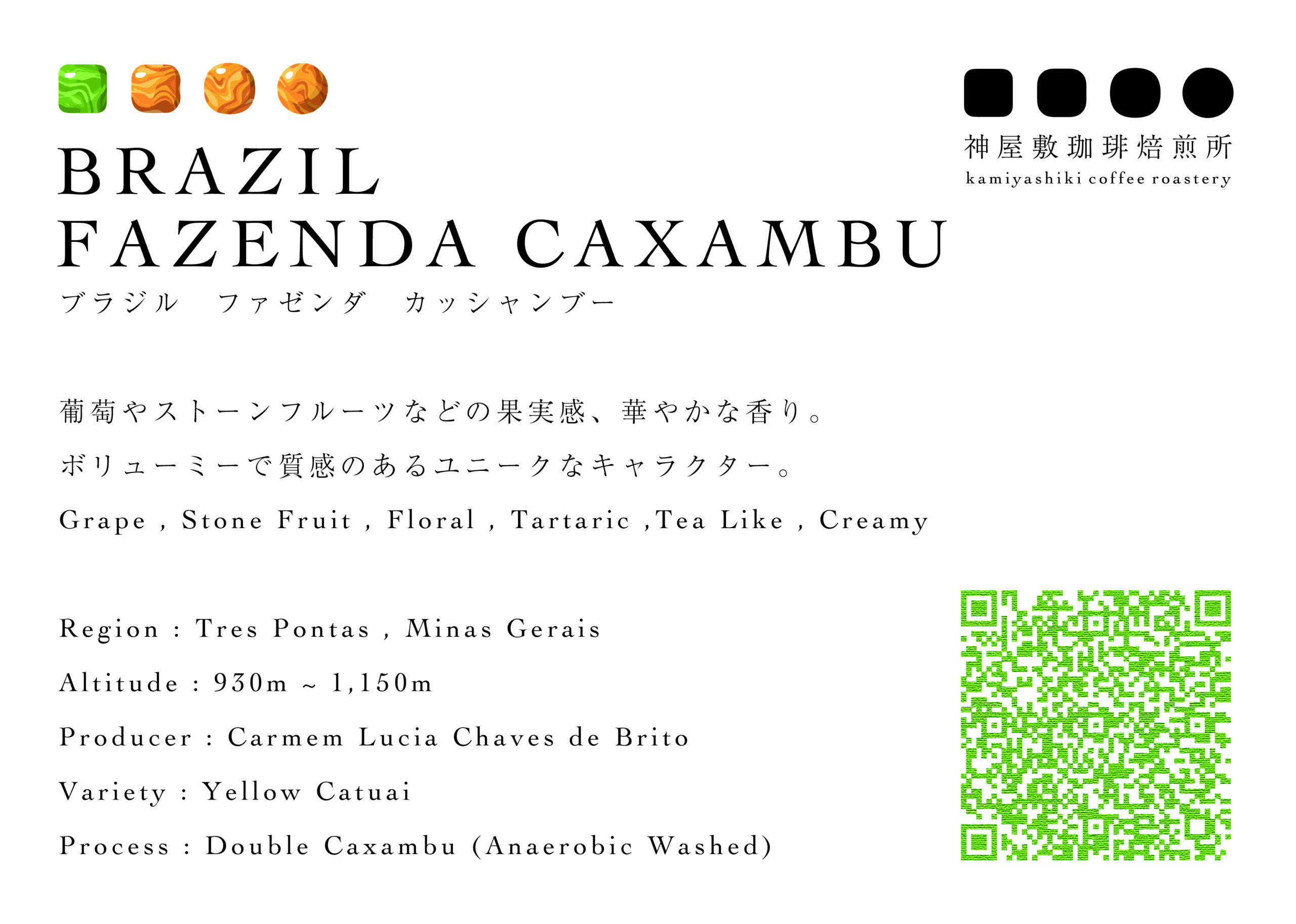 ブラジル カッシャンブー　イエローカトゥアイ　Double Caxambu