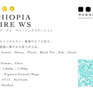 エチオピア　二グセ・ゲメダ　チレWS　ウォッシュド