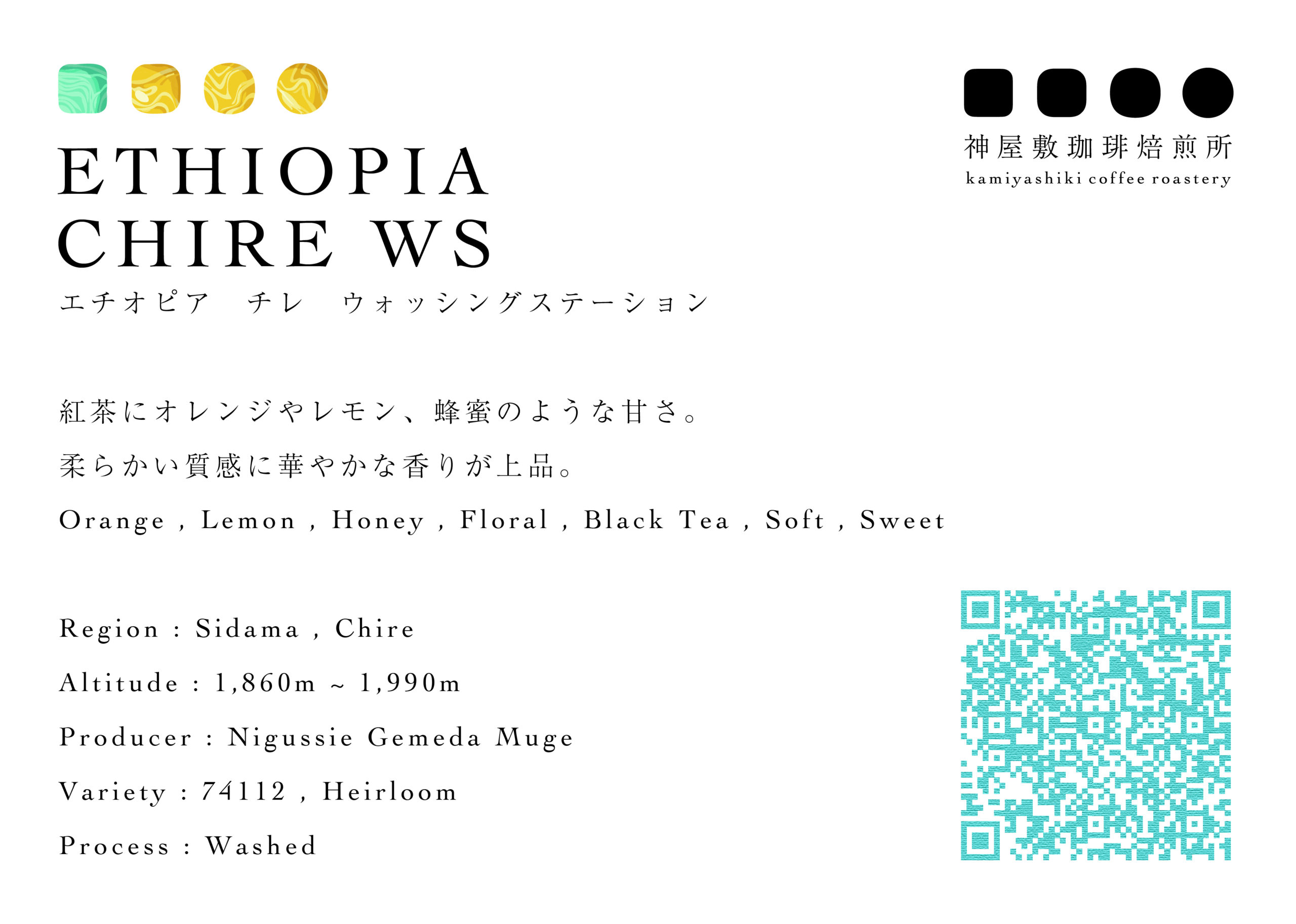 エチオピア　二グセ・ゲメダ　チレWS　ウォッシュド