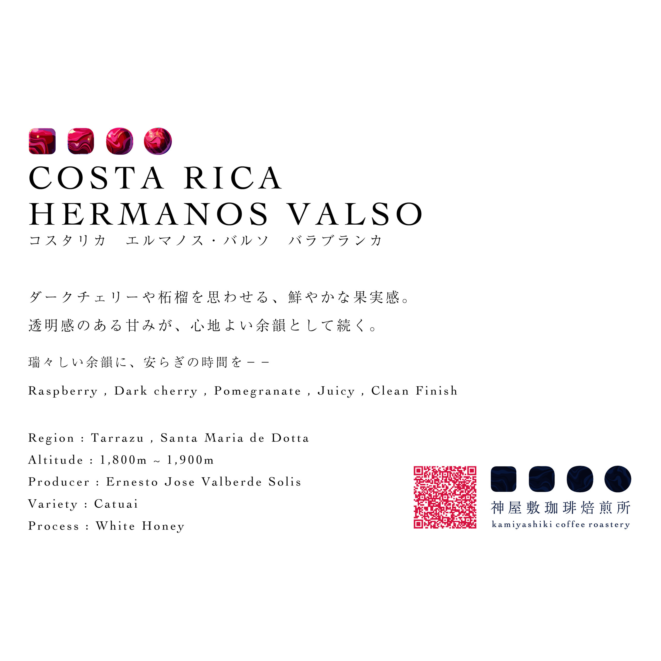 COSTA RICA | HERMANOS VALSO VARA BLANCA | Catuai White Honey
