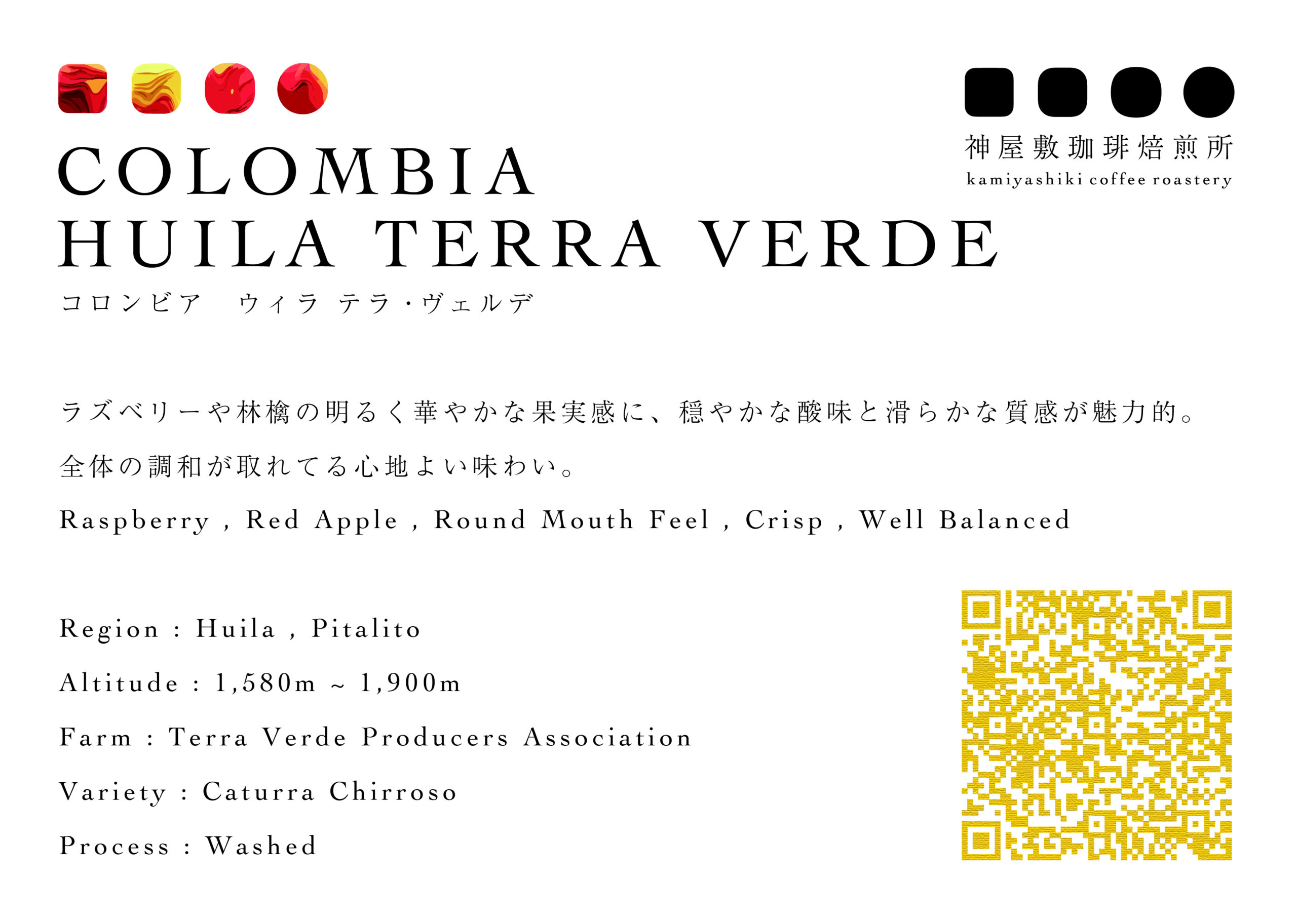 コロンビア　ウイラ　カトゥーラ・チロソ　ウォッシュド