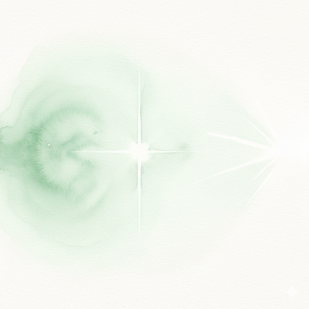 THE PHASE COLLECTION Ⅰ – DAILY AWARENESS –