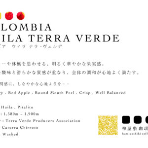 【REFINED】コロンビア　ウィラ　テラ・ヴェルデ　カトゥーラ・チロソ　ウォッシュド