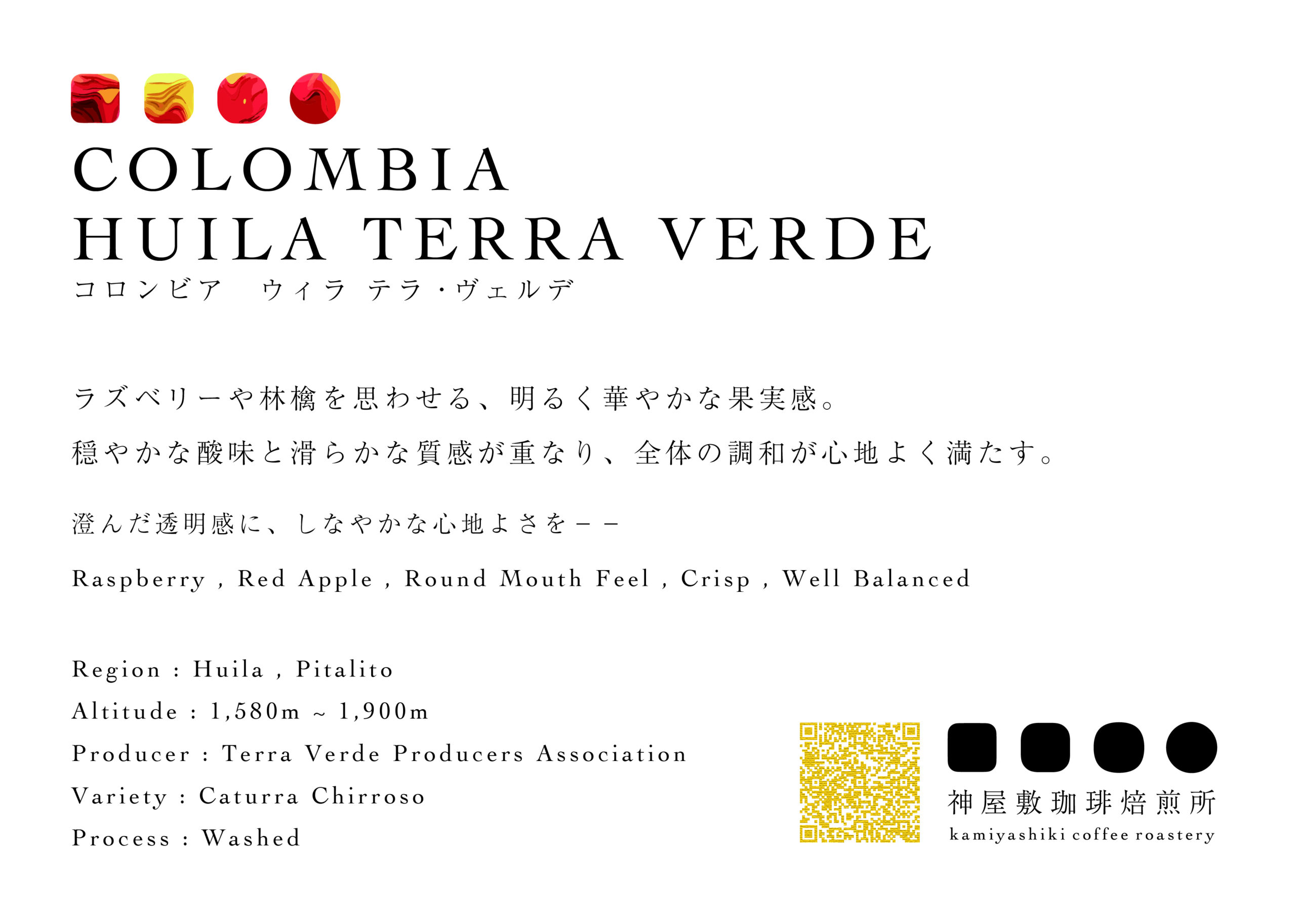 【REFINED】コロンビア　ウィラ　テラ・ヴェルデ　カトゥーラ・チロソ　ウォッシュド