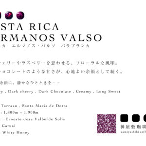 【REFINED】コスタリカ　エルマノス・バルソ　バラブランカ　カトゥアイ　ホワイトハニー