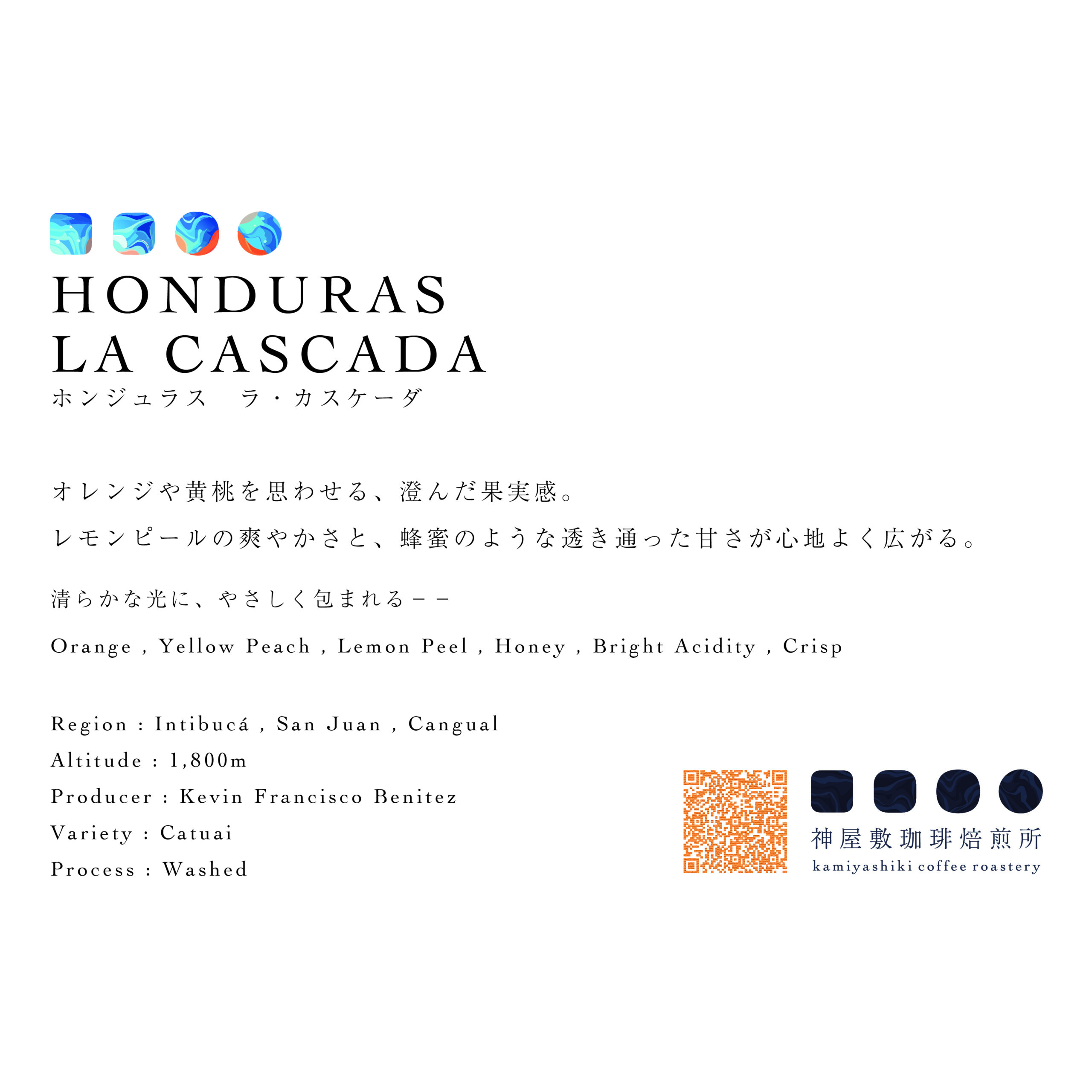 HONDURAS | LA CASCADA | CATUAI WASHED